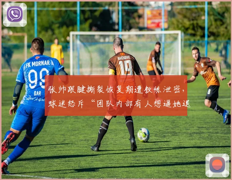 张帅跟腱撕裂恢复期遭教练泄密，球迷怒斥“团队内部有人想逼她退役”